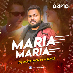 Maria Maria - Remix - ( DJ DAVID WONKA ) - Sonu Nigam, Sajid, Sunidhi Chauhan, Naresh, (Partner)