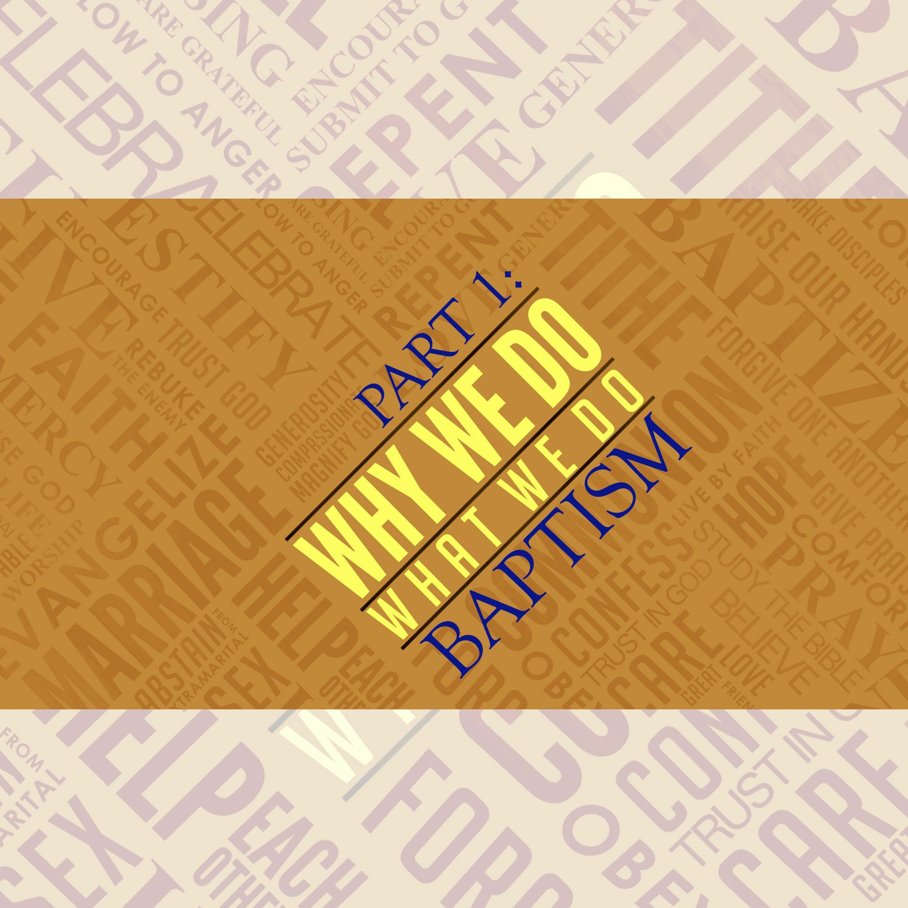 Why We Do, Part 1: Baptism, 2.17.19 episode artwork
