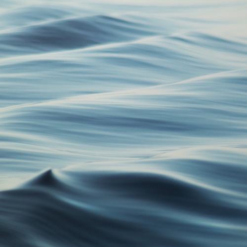 BSVA1 - Waves in Motion