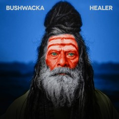 Premiere: Bushwacka! 'Healer' (Carl Cox Remix)