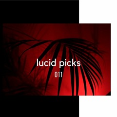 Lucid Picks 011