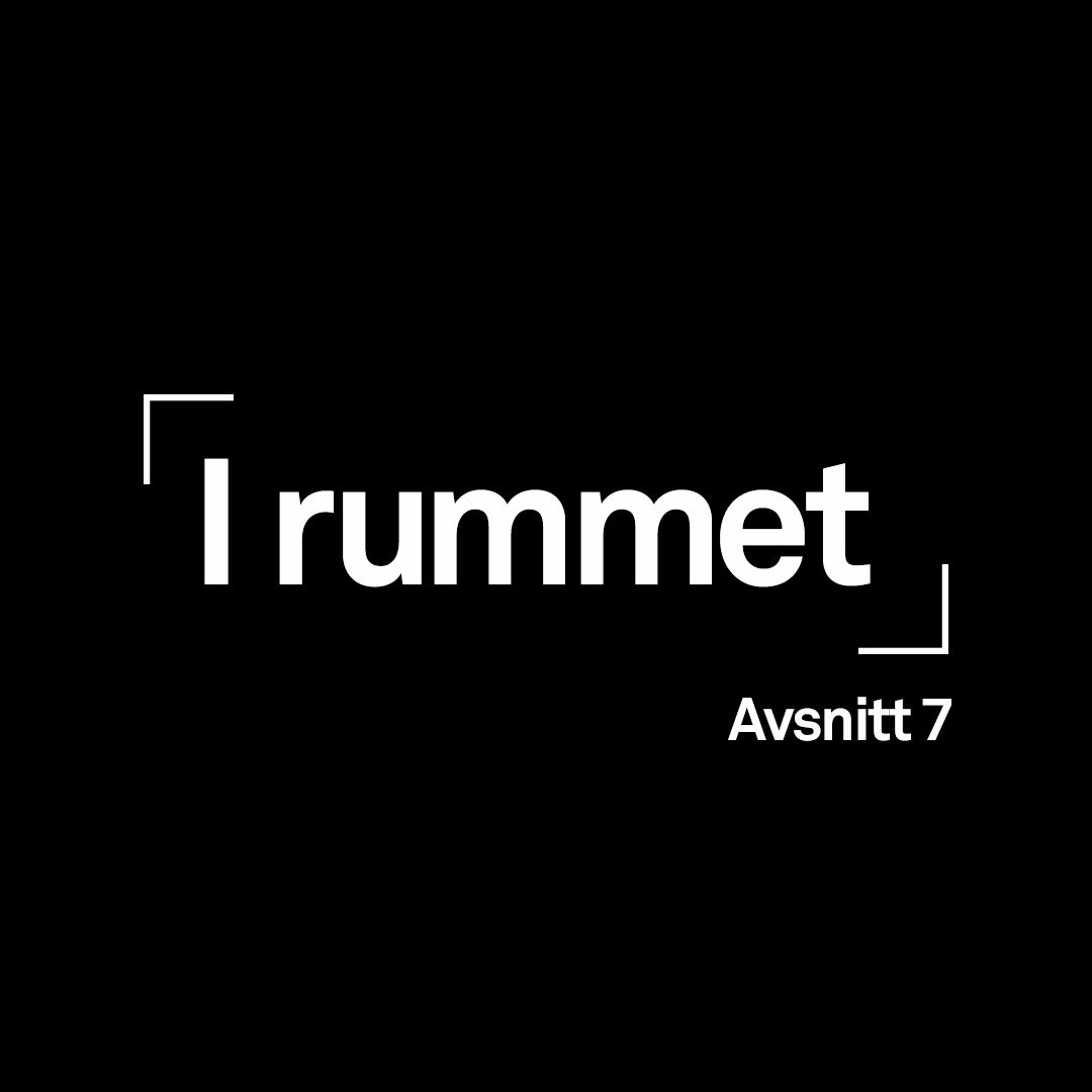 I Rummet - Avsnitt 7