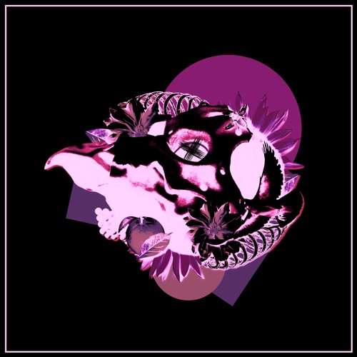 Shurk - Black Numbers