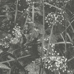 Premiere: Isorinne - Septembermorgon