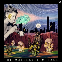 The Malleable Mirage