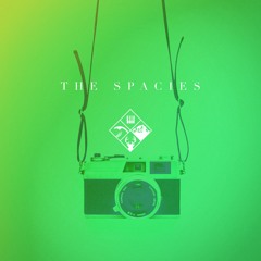 The Spacies - Pictures (KAAG Remix)