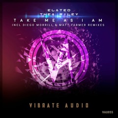 Elated & Thea Riley - Take Me As I Am (Matt Farmer Remix) [VAU055]