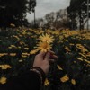 Lovely Billie Eilish And Khalid Cover Mp3