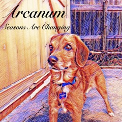 Midnight Light (Original)