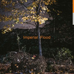 Logos - Arrival (T2 Mix)- from 'Imperial Flood' LP released 12 April