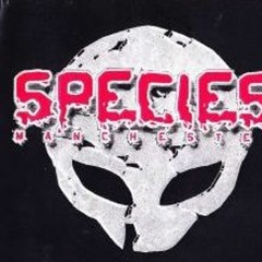Total Output PA---Species