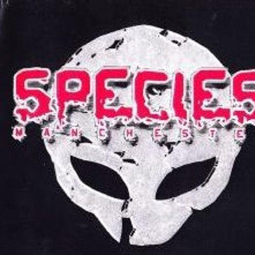 Total Output PA---Species
