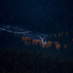 out of mind [feat. gavn!]