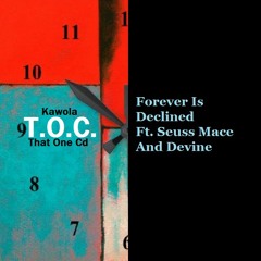 Forever Is Declined Ft. Devine And Seuss Mace *Visuals In Discription*
