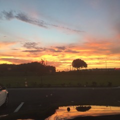 Brothers and Sisters of Africa