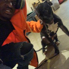 Snakes Banman (No Mix n Master)