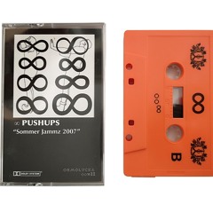 ∞Pushups | Sommer Jammz 2007