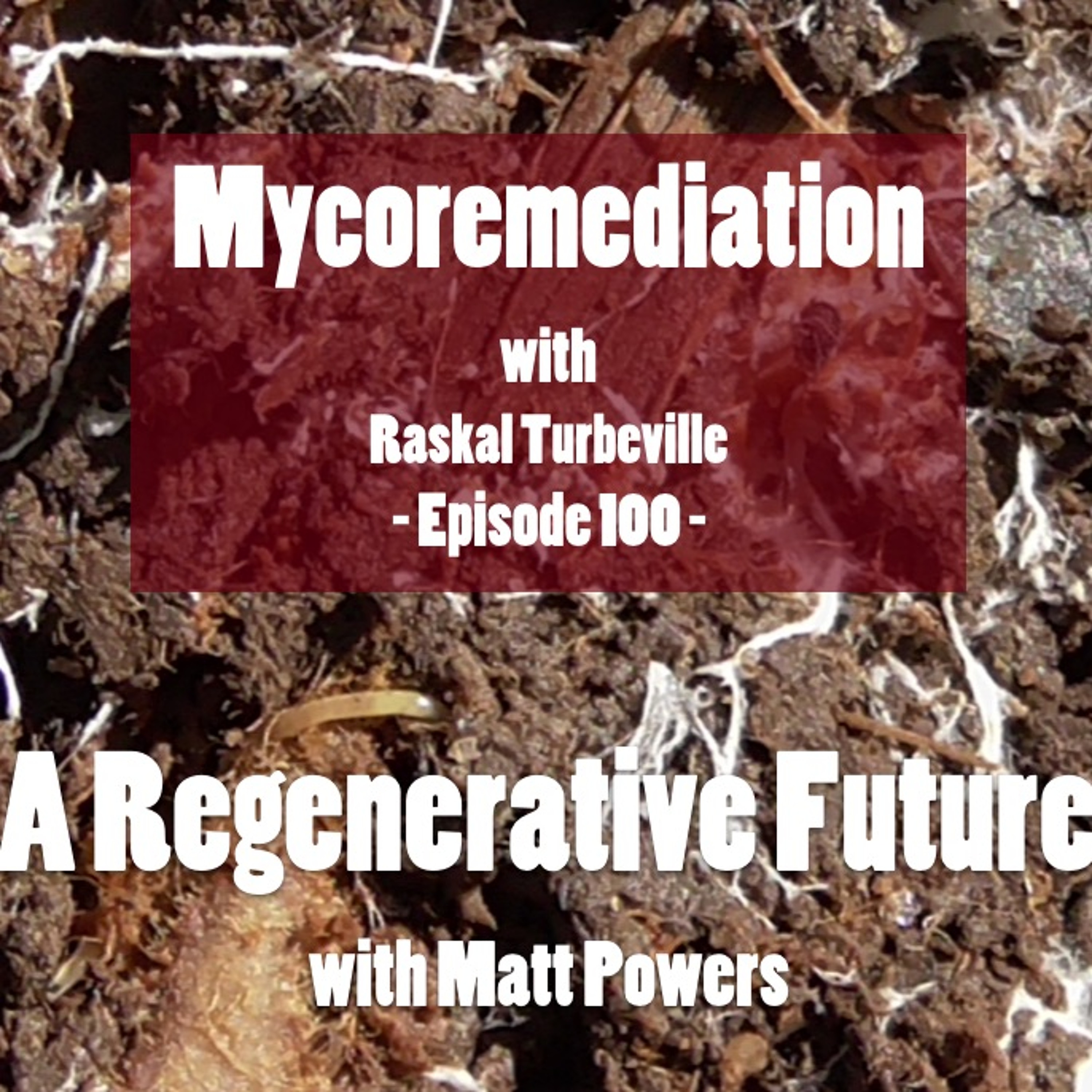 A Regenerative Future with Matt Powers