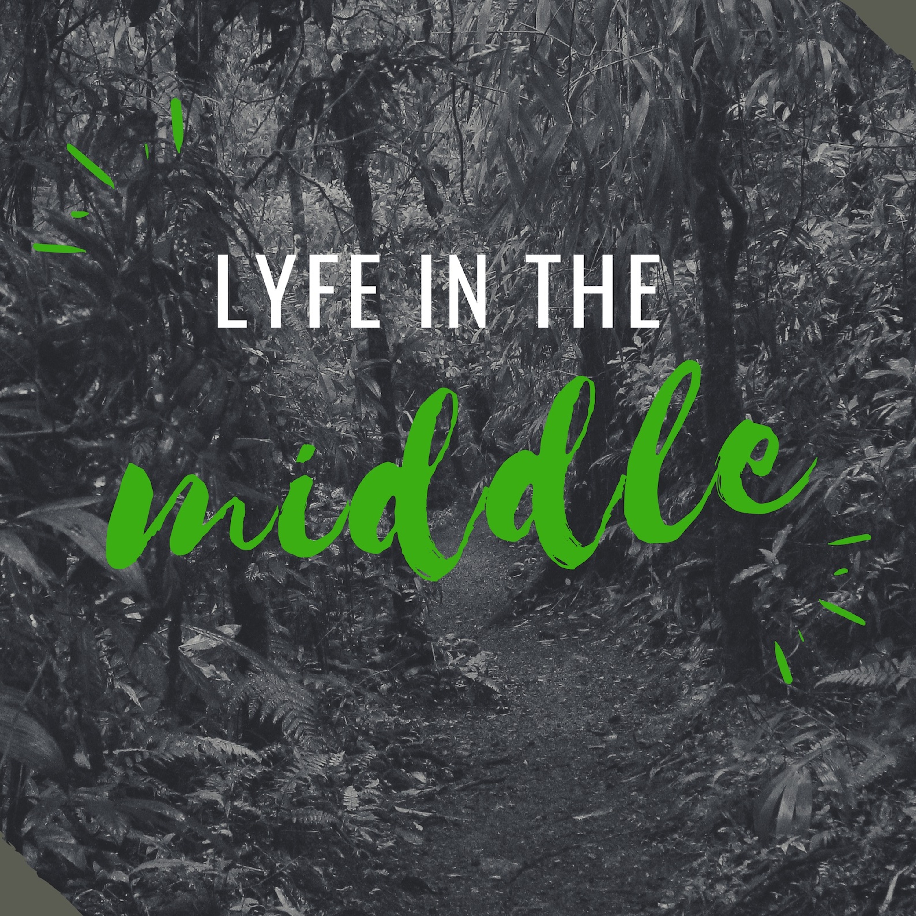 Lyfe in the middle episode artwork