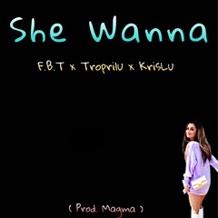 She Wanna Ft F.B.T x Troprli x KrisLu