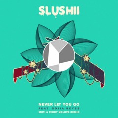 Slushii Never Let You Go Remix Locky Y