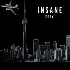 Insane (Prod by ZEEK)