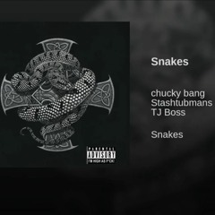 Snakes- Chucky Bang, Stashtubmans, TJ Boss