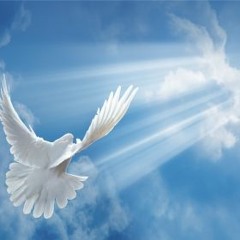 02/18/2019 - R.I.P Grandpa