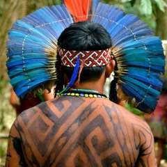 Ninawa - Cura Da Floresta