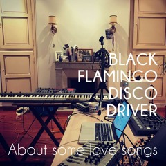 Black Flamingo Disco Driver / About some love songs