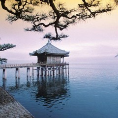 Kristel Helmons & Zahide Gray - Titanium