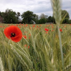 Die Bedeutung von Sprache in der Geburtshilfe