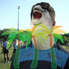 *MEME* ¿Donde Esta la Foca?