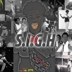 S.I.G.H. Intro