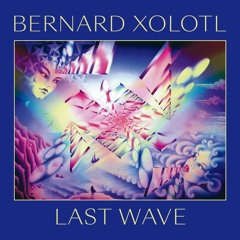 Bernard Xolotl - Electronic Walkyrie