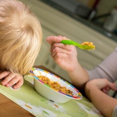 Mon Enfant Ne Veut Pas Manger De Nouveaux Plats. Dois - Je Le Forcer