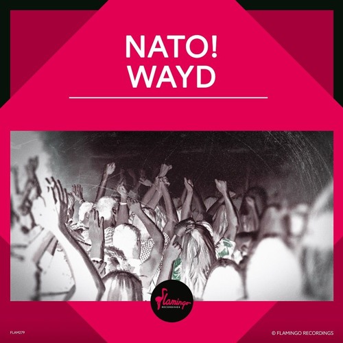 NATO! - WAYD