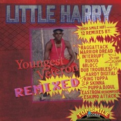 Little Harry & High Smile Hifi - So Many (HARDY DIGITAL REMIX)