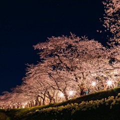 嫌よ嫌よも春の宵