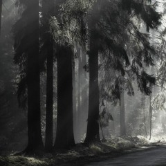 11 Walking In The Fog OST - Princess Principal