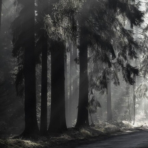 11 Walking In The Fog OST - Princess Principal