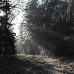 16 Everyone Has Something To Hide OST - Princess Principal