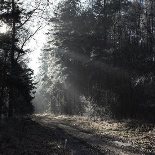 16 Everyone Has Something To Hide OST - Princess Principal