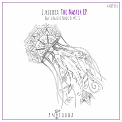 03 Lucefora - The Master (Nodo Dub Reboot) [AMIT005] Preview