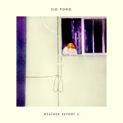 Weather Report II