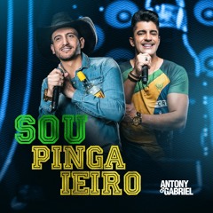 Sou Pingaieiro
