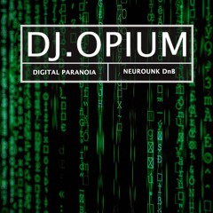 Digital Paranoia LP