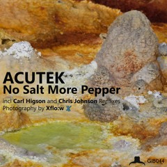 PREMIERE: Acutek - Transport (Higsons Acid Trip) [Gibbon Records]