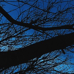 Meditation * prod. Jord