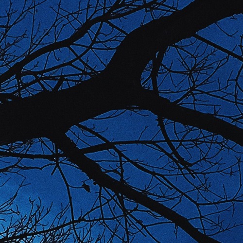 Cycles * prod. GhettoWizardBeats